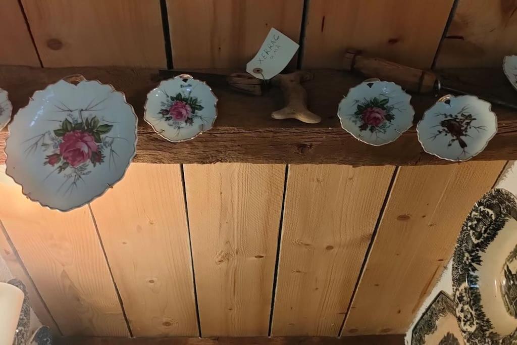 Apartament Volca Rocanegra Santa Pau Eksteriør billede